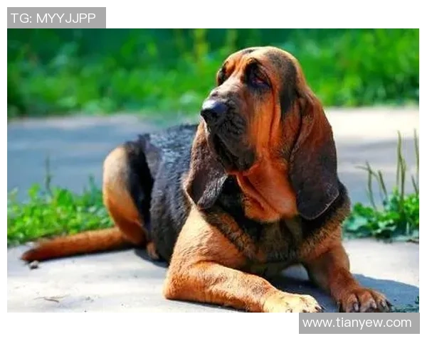 巨蟹座足球明星：情感丰富与场上表现的完美结合